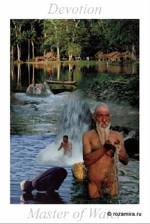 Nature Tarot by Jan Strube